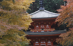 Gansenji Sanjunotou