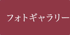 フォトギャラリー