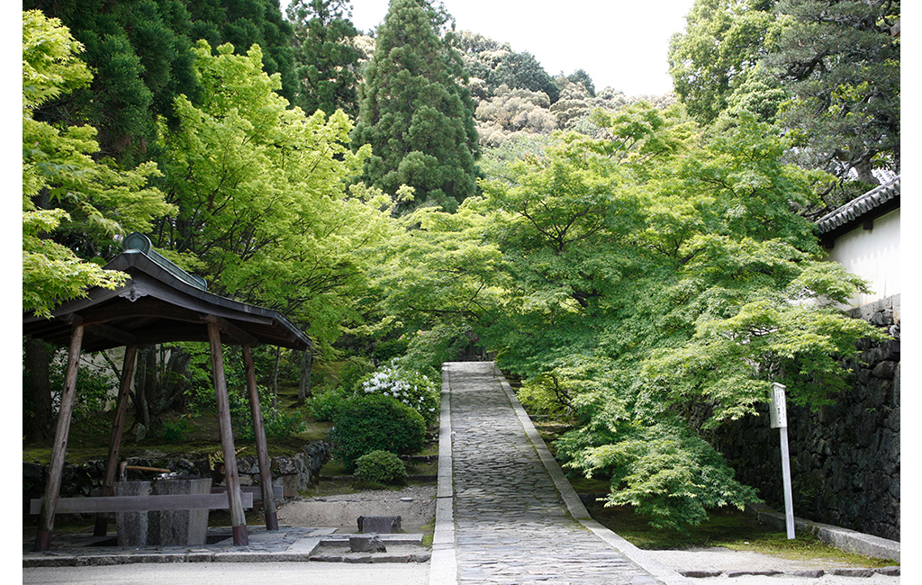 一休寺 参道