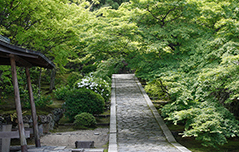 一休寺 参道