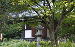 浄瑠璃寺風景