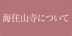 海住山寺について