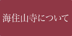 海住山寺について