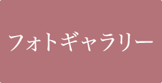 フォトギャラリー