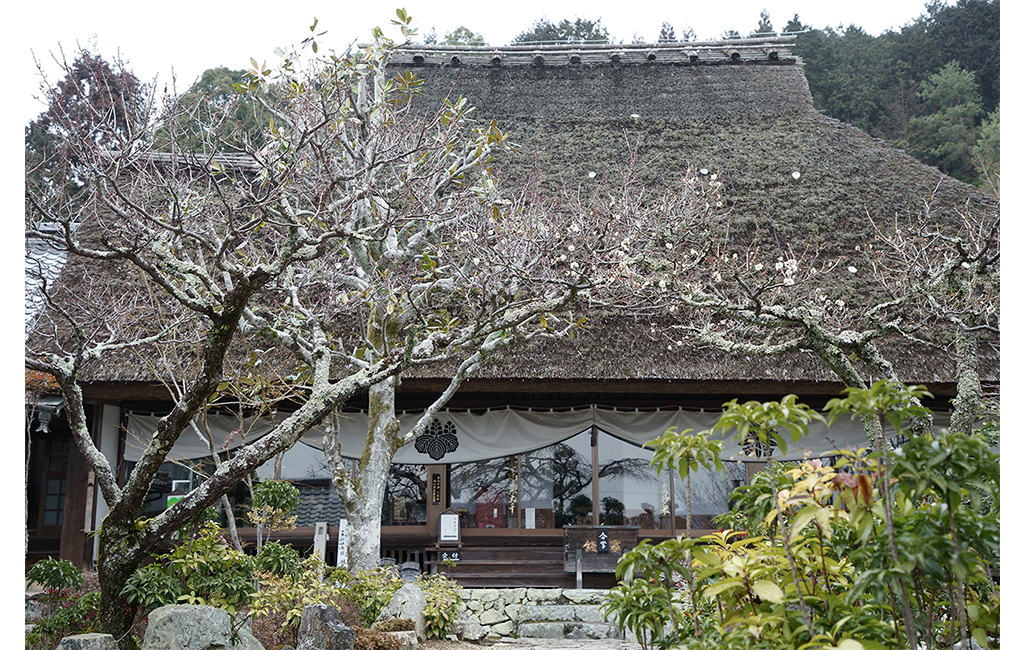 禅定寺本堂