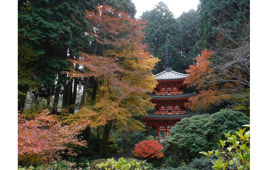 岩船寺三重塔