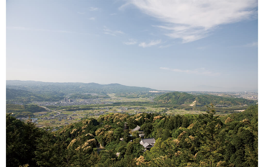 Kaijusenji View