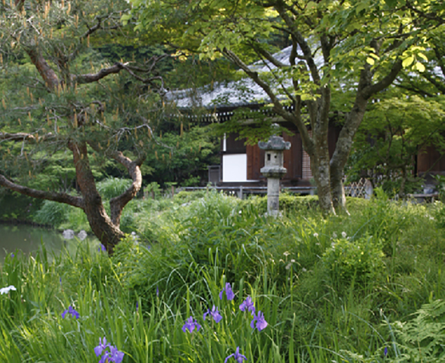 浄瑠璃寺