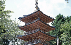 海住山寺 五重塔